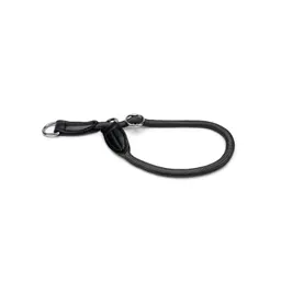 Lionto Lionto Hundehalsband, Retrieverhalsband schwarz M – Produktbild 1 von 1
