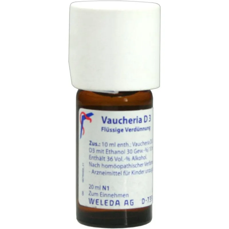 Weleda WELEDA VAUCHERIA D 3 Dilution 20 ml Dilution – Produktbild 1 von 1