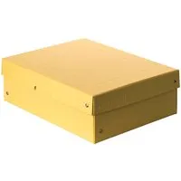 Falken Falken Aufbewahrungsbox "PURE Box" Pastell, DIN A4, 100 mm Höhe, gelb – Produktbild 1 von 1