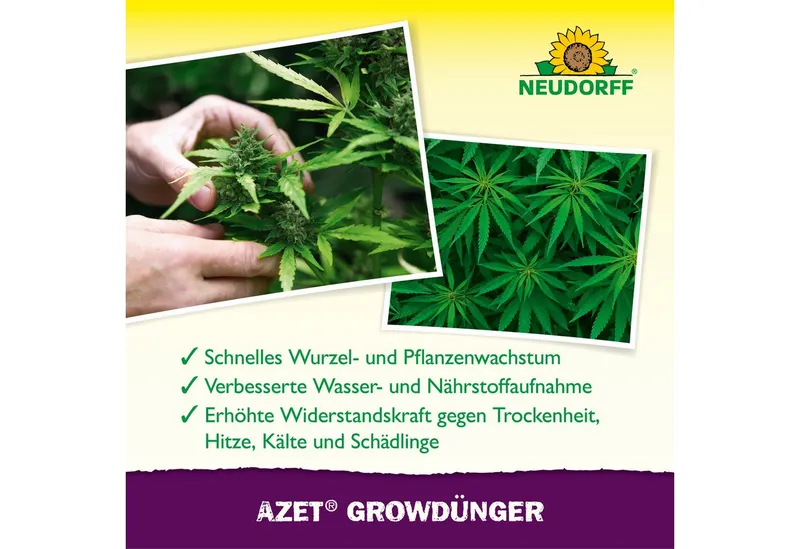 Neudorff Spezialdünger Azet GrowDünger 250ml Hanf Dünger für 50L, Vor Gebrauch gut schütteln und nur mit Wasser verdünnt anwenden., Dünger für Hanfpflanze für schnelles Wachstum und reiche Ernte, Organischer GrowDünger für kräftiges Wachstum – Produktbild 4 von 5
