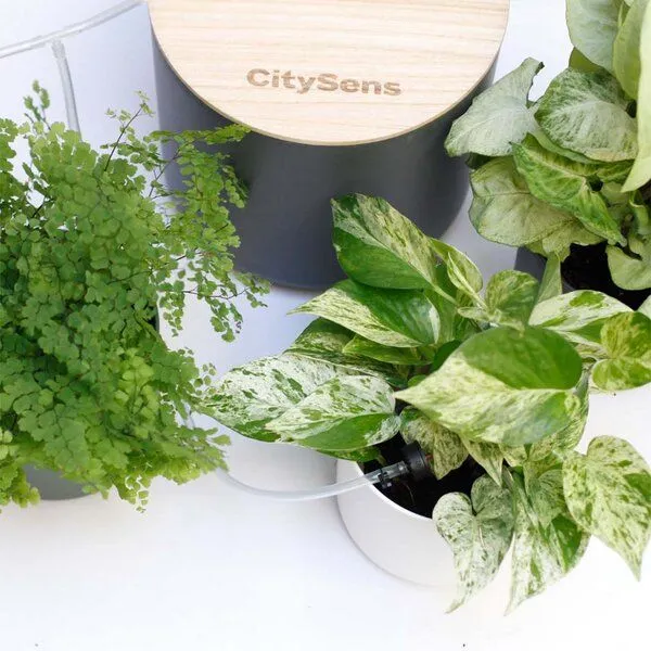 CitySens CitySens Smart Tropfbewässerung, Anthrazit, – Produktbild 1 von 4