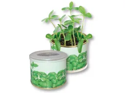 Bio-Mini-Pflanzset 'Dose' Sonnenblume  mit 1-4 farbigem Aufdruck – Produktbild 1 von 1