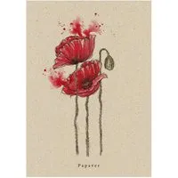 matabooks Postkarte Mohn – Produktbild 1 von 1
