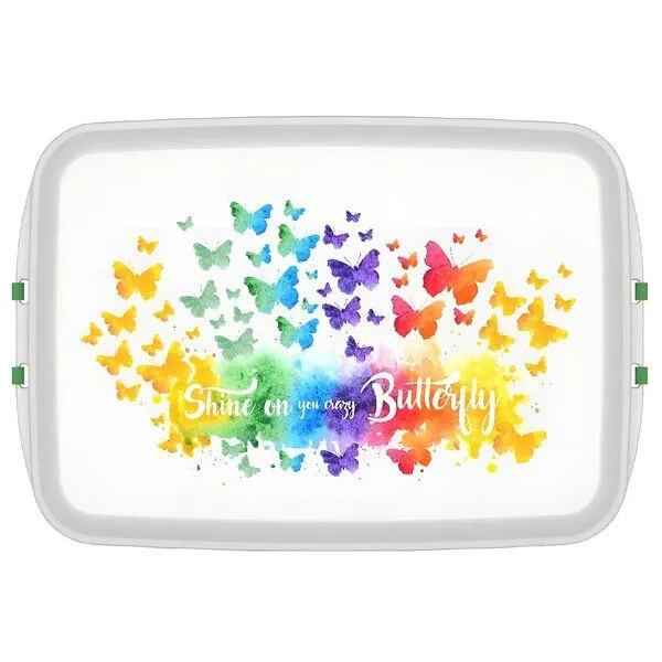 Biodora Biodora Bio-Lunchbox (0,8 L) – Verschiedene Designs – Biokunststoff auf Stärkebasis – Made in EU – Produktbild 8 von 8