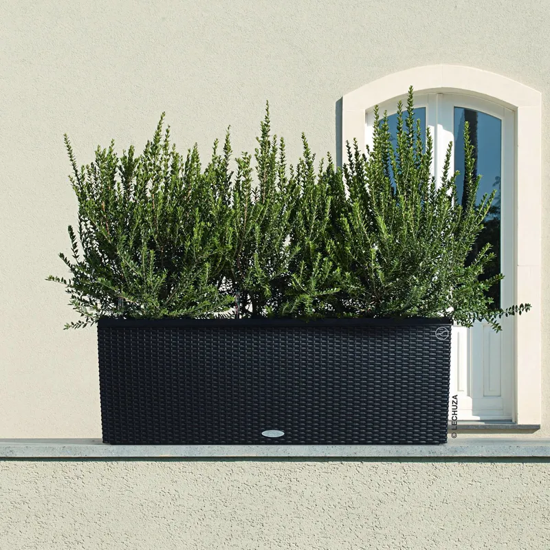 Lechuza® Lechuza® 'Trio Cottage 30', granit, ca. 100 x 32,5 x H 34,5 cm, Schwarz, – Produktbild 1 von 1
