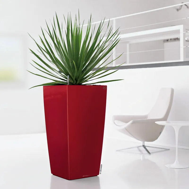 Lechuza® Lechuza® 'Cubico 40', scarlet-rot, ca. 40 x 40 x H 75 cm, Rot, – Produktbild 1 von 1