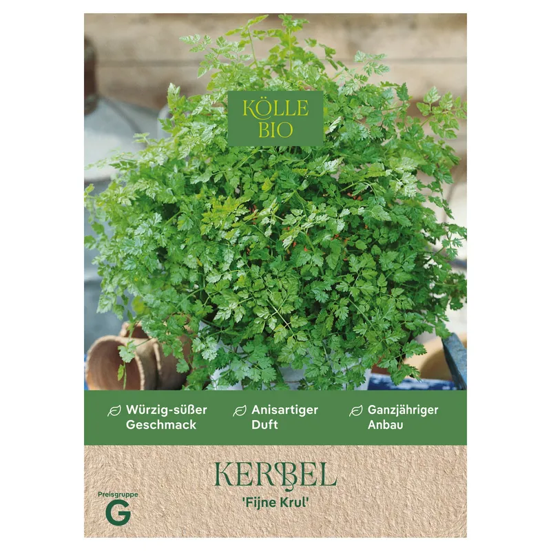 Kölle Bio Kölle Bio Saatgut Kerbel 'Fijne Krul', Grün, – Produktbild 1 von 1