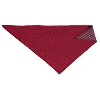 Leela Cotton Leela Cotton Dreiecktuch Bio Baumwolle Halstuch Lätzchen Schal, Persischrot, – Produktbild 1 von 1