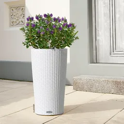 Lechuza® Lechuza® 'Cilindro Cottage 32', weiß, ca. Ø 32 x H 56 cm – Produktbild 1 von 1