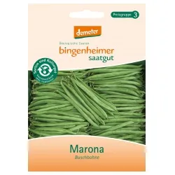 Bingenheimer Saatgut Buschbohnen Marona – Produktbild 1 von 1