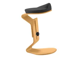 Bewegungshocker "Ercolino" höhenverstellbar mit 3D Sitz, Buche, anthrazit – Produktbild 1 von 1