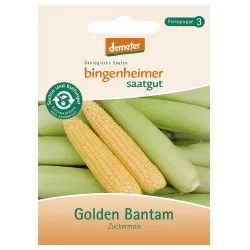 Bingenheimer Saatgut Zuckermais Golden Bantam – Produktbild 1 von 1