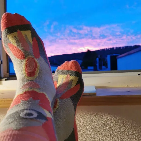 Fräulein Prusselise Fräulein Prusselise 3er spezial Socken Pack Pinki, Herz, Paradies, Blume, bunt, Bunt, – Produktbild 3 von 3