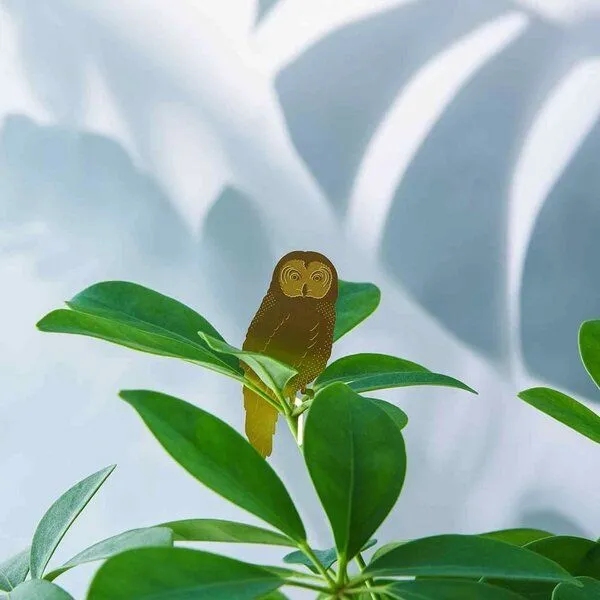 another studio another studio Plant Animal - Design Pflanzendekoration - Figuren aus Messing, Eule, – Produktbild 1 von 4