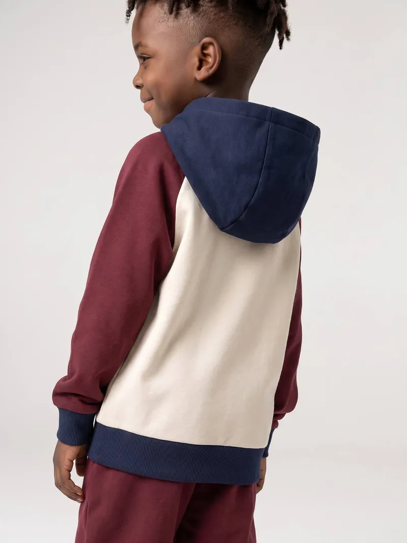 Vertbaudet Vertbaudet Kapuzensweatshirt Jungen Colorblock, Bordeaux, – Produktbild 6 von 6