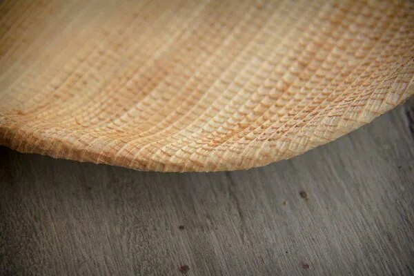 BY COPALA BY COPALA Schale, handgefertigt aus Bananenbäumen – L-Size – Produktbild 4 von 4