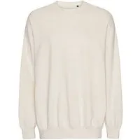 Neutral Neutral® Oversize Unisex Sweatshirt Tiger Cotton von Neutral Baumwolle in Umstellung zu Bio Baumwolle, Natur, – Produktbild 1 von 1