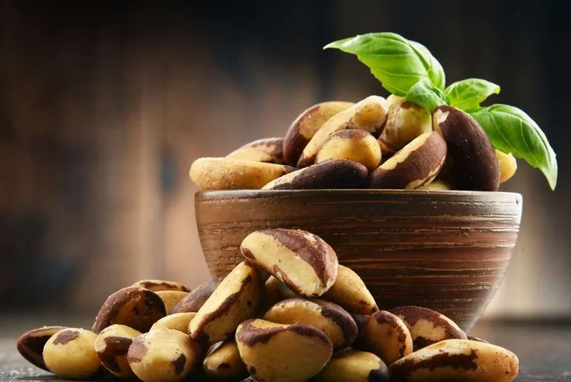 1001 Frucht Nüsse Paranusskerne aus Bolivien - Limitierte Qualität – Produktbild 4 von 5