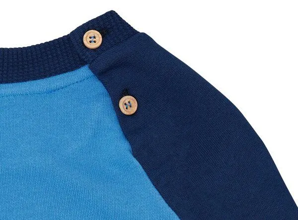 loud + proud loud + proud Babys & Kinder Sweatshirt mit Raglanärmeln, GOTS-zertifiziert, Azur/ultramarine(blau), – Produktbild 3 von 3