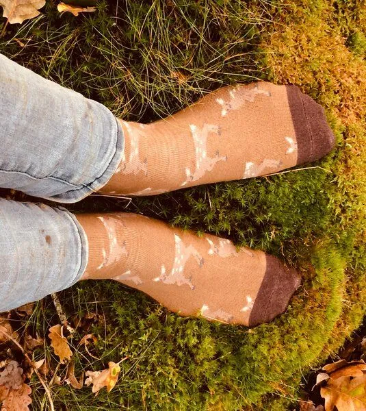 Fräulein Prusselise Fräulein Prusselise Socke mit Rehen, braun, bunt gemustert – Produktbild 3 von 4