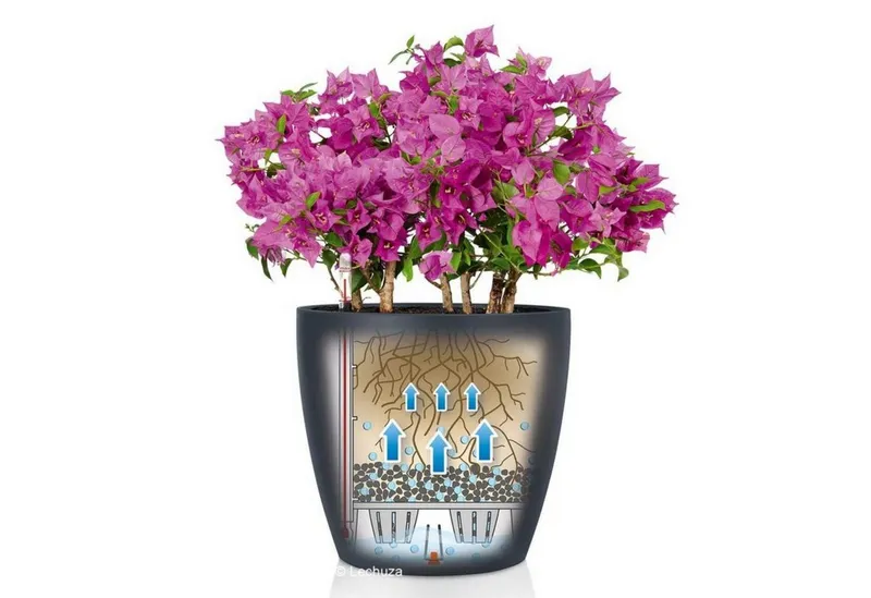 Lechuza® Lechuza® Pflanzkübel Blumentopf Classico Color 18 weiß (Komplettset), Weiß, – Produktbild 5 von 6