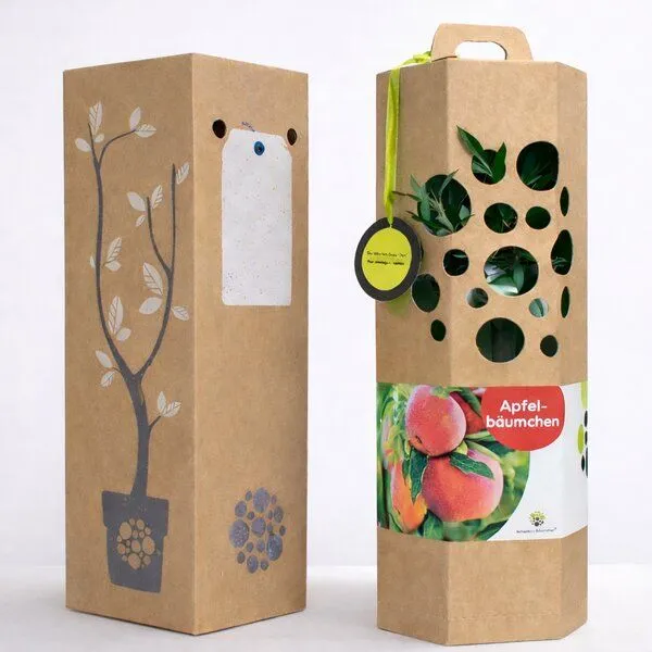 SchenkeinBäumchen SchenkeinBäumchen Apfelbaum – Produktbild 1 von 4