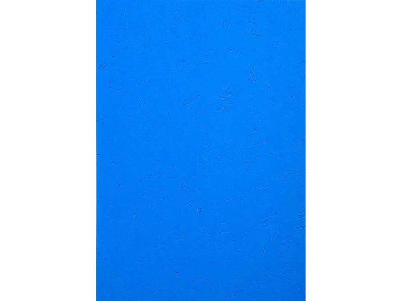 Exacompta 100 Exacompta Eindbanddeckel "Forever", 270 g/m², DIN A4, blau – Produktbild 1 von 1