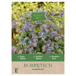 Kölle Bio Kölle Bio Saatgut Borretsch Gurkenkraut – Produktbild 1 von 1
