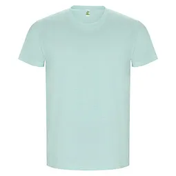 Roly Golden T-Shirt für Herren, mintgrün, 3XL – Produktbild 1 von 1