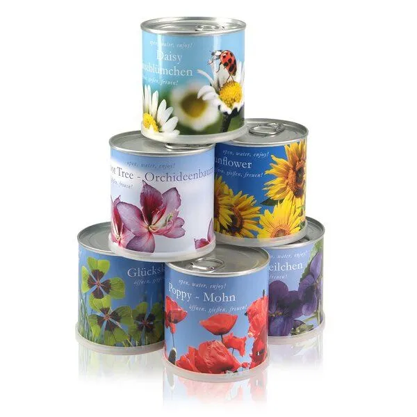 MacFlowers MacFlowers Blumen in der Dose Vergissmeinnicht – Produktbild 4 von 4