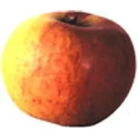 Deutschland FrÃ¼h-ÃÑpfel Collina – Produktbild 1 von 1