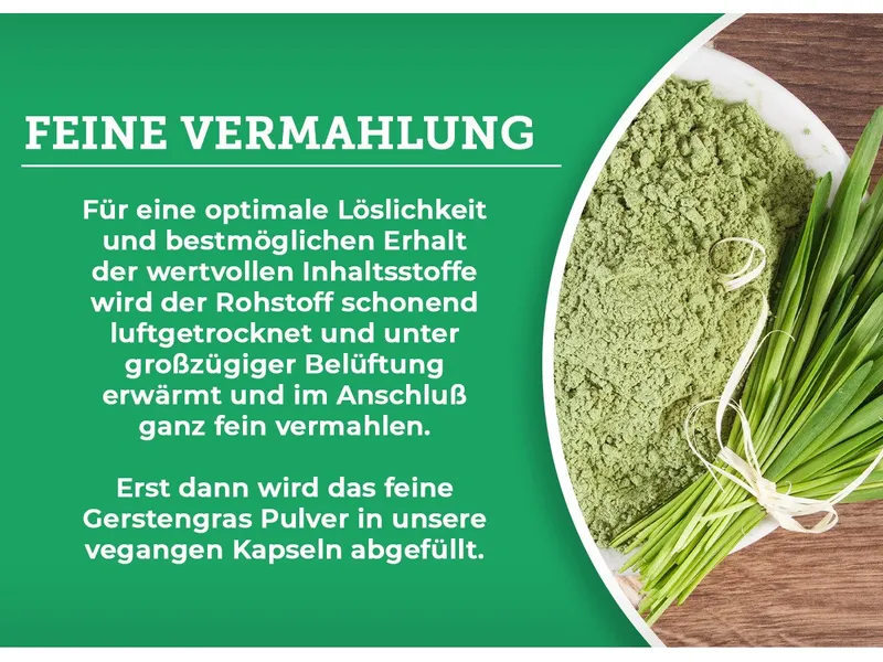 QIDOSHA Bio Gerstengras Kapseln, 360 St., 215 g, Aus kontrolliert biologischem Anbau – Produktbild 5 von 5
