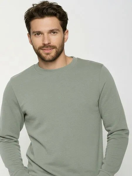 GreenBomb GREENBOMB Basic Wild - Gemütliches Sweatshirt aus Bio-Baumwolle / GOTS / Fair & Vegan, Grau (moos mint), – Produktbild 2 von 4