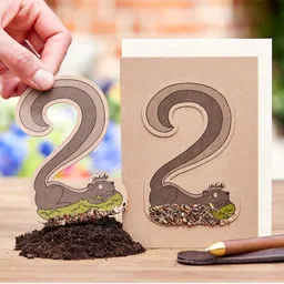 Die Stadtgärtner Die Stadtgärtner Karte zum 2. Geburtstag | Pflanzbares Stinktier mit Wildblumen-Samen – Produktbild 1 von 1