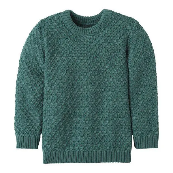Disana Disana Kinder Aran Pullover kbT-Merinowolle, Eukalyptus, – Produktbild 1 von 4