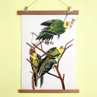all the things we like all the things we like Poster Birdies mit Aufhängung – Produktbild 1 von 1