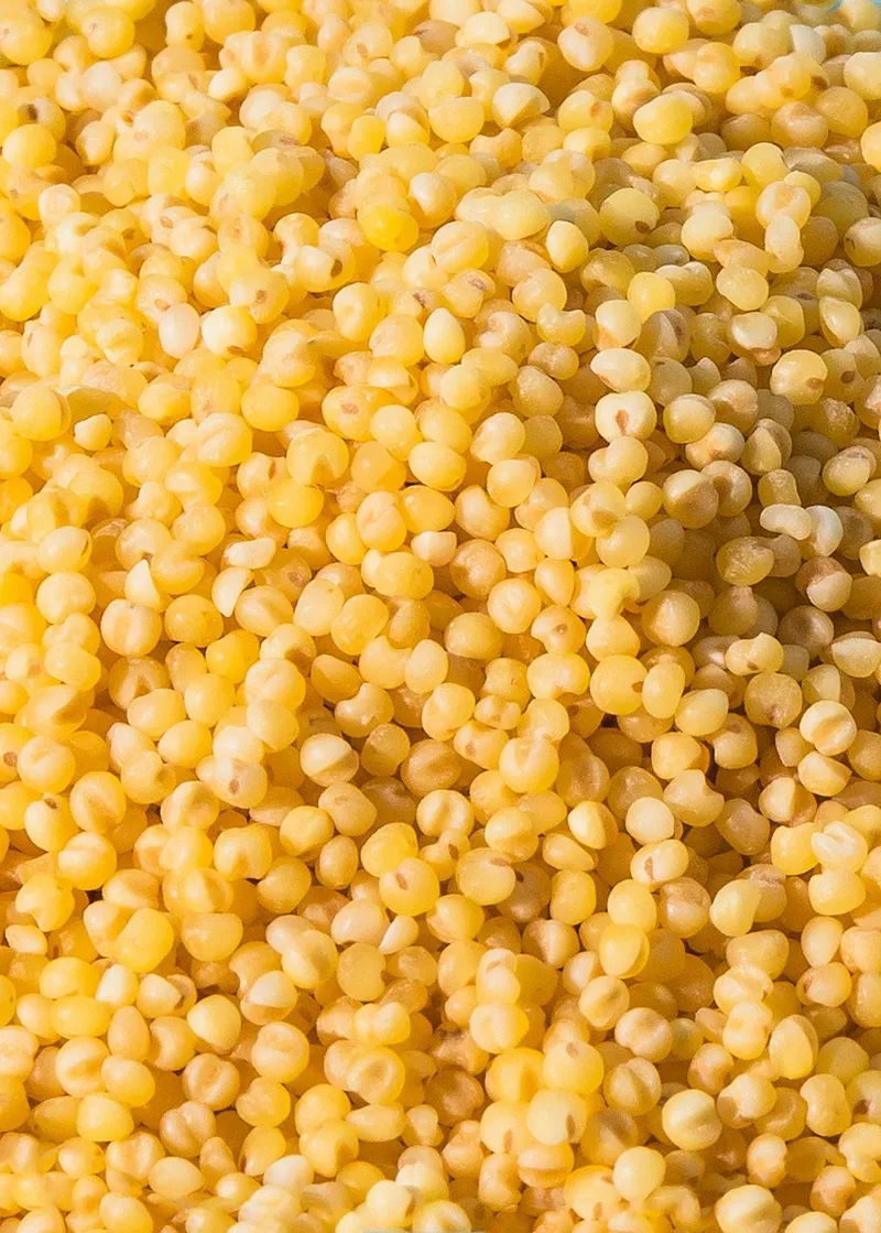 KoRo Bio Hirse 2 kg – Produktbild 2 von 5