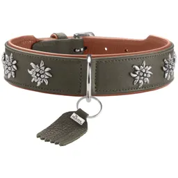 Dog Sport Dog Sport HUNTER Hundehalsband münchen grün L – Produktbild 1 von 1