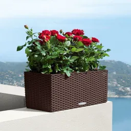 Lechuza® Lechuza® 'Balconera Cottage 50', mokka, ca. 50 x 19 x H 19 cm – Produktbild 1 von 1
