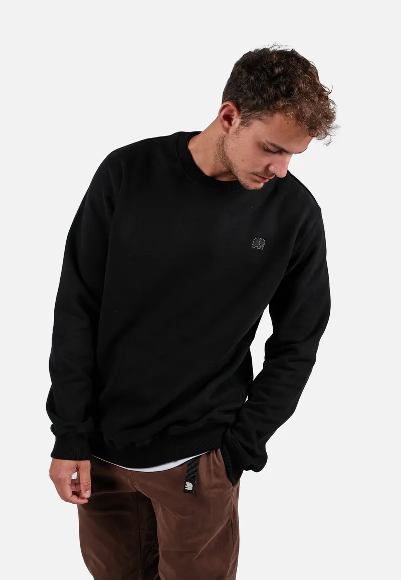Trendsplant Trendsplant Herren vegan Pullover Essential Schwarz, Schwarz, – Produktbild 1 von 1