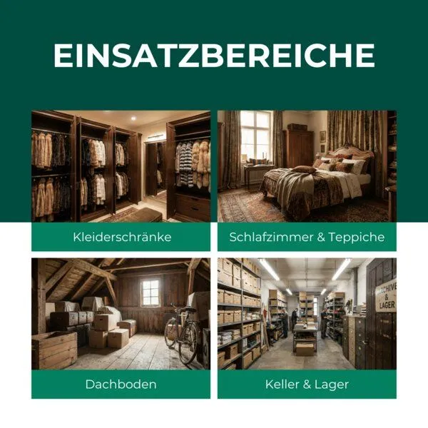 Silberkraft Silberkraft Lagerpiraten gegen Wollkrautblütenkäfer (Raubwanze Xylocoris Xylocoris flavipes) – Produktbild 3 von 4