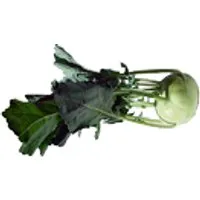 Deutschland Kohlrabi – Produktbild 1 von 1