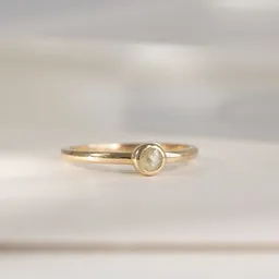 Eppi Eppi Minimalistischer Ring mit einem Salt and Pepper Diamanten Emilien – Produktbild 1 von 1
