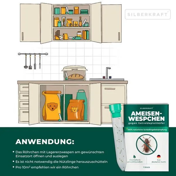 Silberkraft Silberkraft Ameisenwespchen - Cephalonomia tarsalis (CephiTop®) – Produktbild 2 von 4