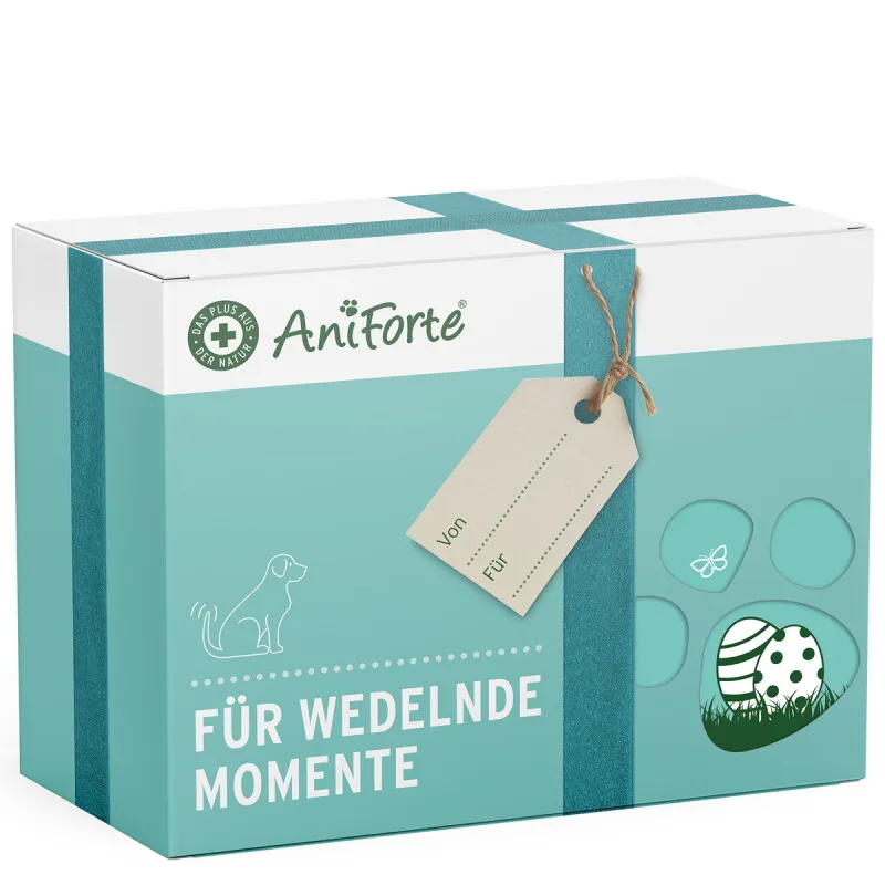 AniForte AniForte Geschenkbox Pflege für Hunde – Produktbild 1 von 2