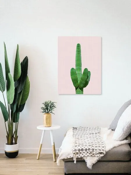 Photocircle Photocircle Poster / Leinwandbild - Cactus 4 – Produktbild 4 von 4