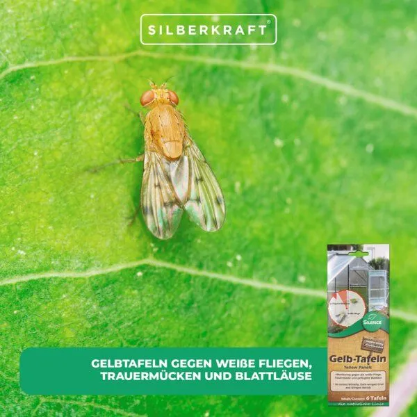 Silberkraft Silberkraft Silence Gelbtafeln (klein): Optimales Monitoring gegen die weiße Fliege, Trauermücke und Blattlaus – Produktbild 3 von 4