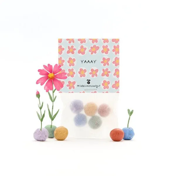Die Stadtgärtner Die Stadtgärtner 5 bunte Blumenmurmeln im Tütchen mit Wildblumensaatgut | Für Geburtstage, Mitbringsel & Gastgeschenke – Produktbild 1 von 4