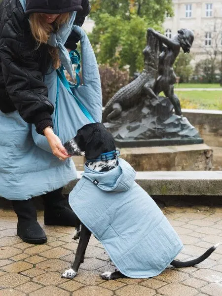 New Orchard New Orchard Dog Hoodie, Blau, – Produktbild 4 von 4