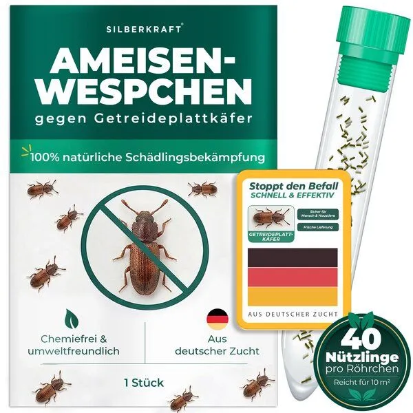 Silberkraft Silberkraft Ameisenwespchen - Cephalonomia tarsalis (CephiTop®) – Produktbild 1 von 4